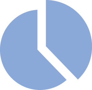 40 % of revenue icon